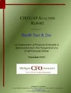 CFO “GAP ANALYSIS” SERVICE & REPORT